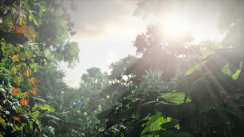 The Last of Us - impresiones