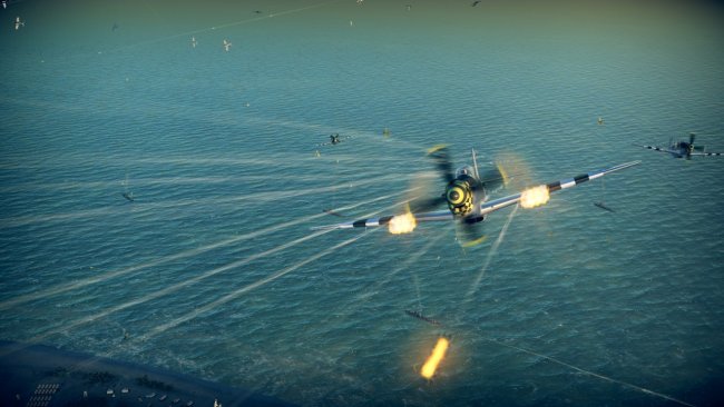Birds of Steel
