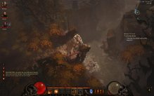 Diablo III