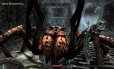 The Elder Scrolls V: Skyrim
