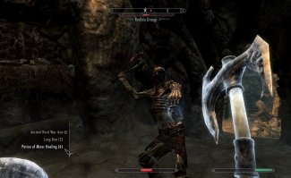 The Elder Scrolls V: Skyrim