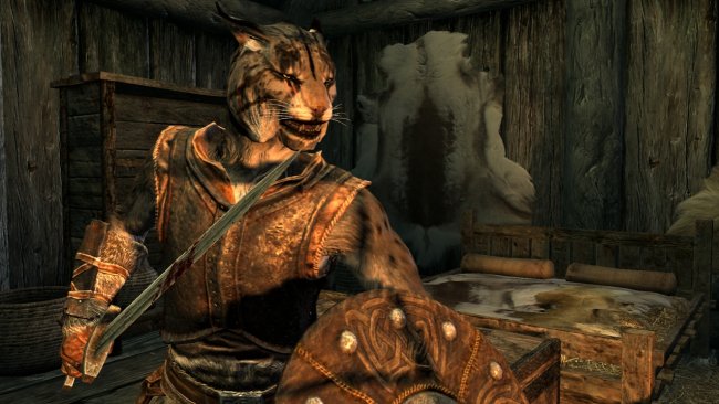 The Elder Scrolls V: Skyrim