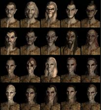 The Elder Scrolls V: Skyrim