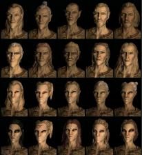 The Elder Scrolls V: Skyrim