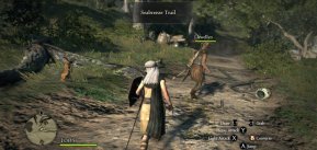 Dragon's Dogma