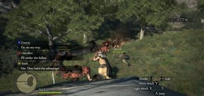 Dragon's Dogma