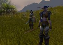 World of Warcraft