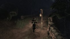 Fable III