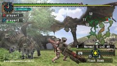 Monster Hunter Freedom 2