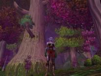 World of Warcraft