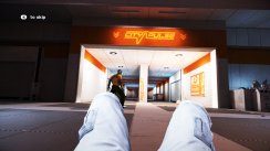 Mirror's Edge