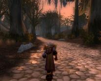 World of Warcraft
