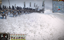Total War: Shogun 2
