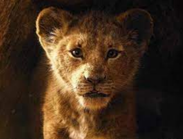 Mufasa: El Rey León