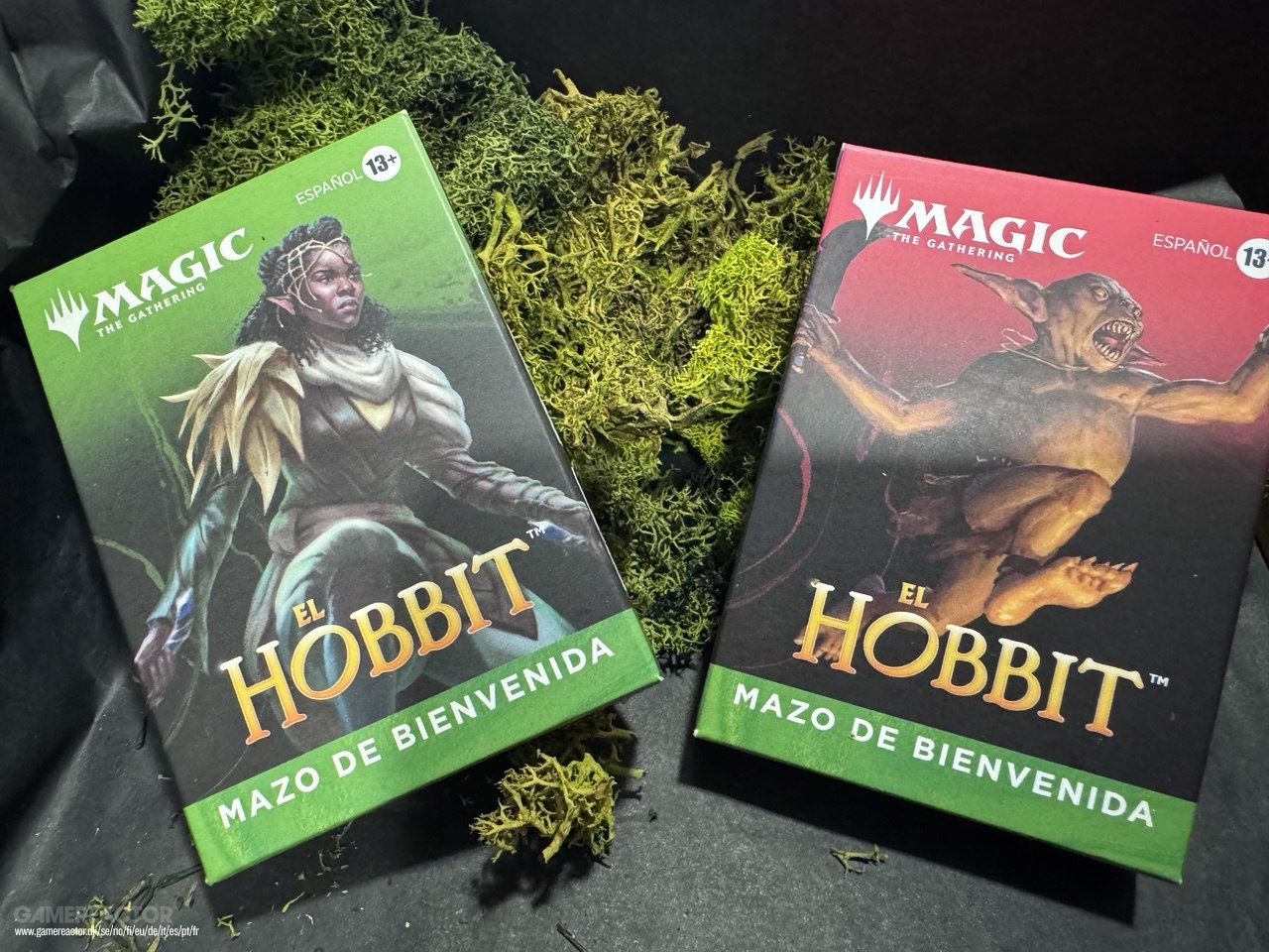Magic: The Gathering