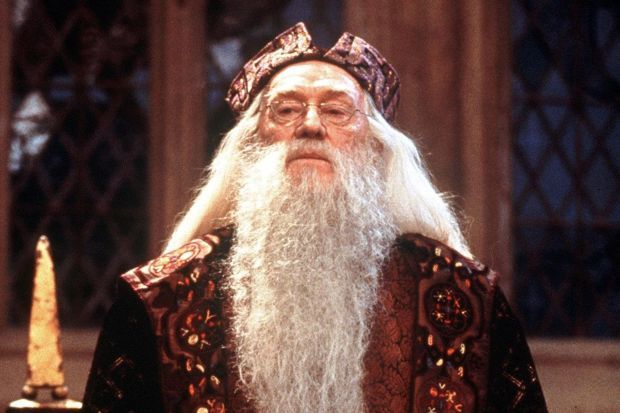 Ya tenemos nuevo Albus Dumbledore para la serie de HBO de Harry Potter