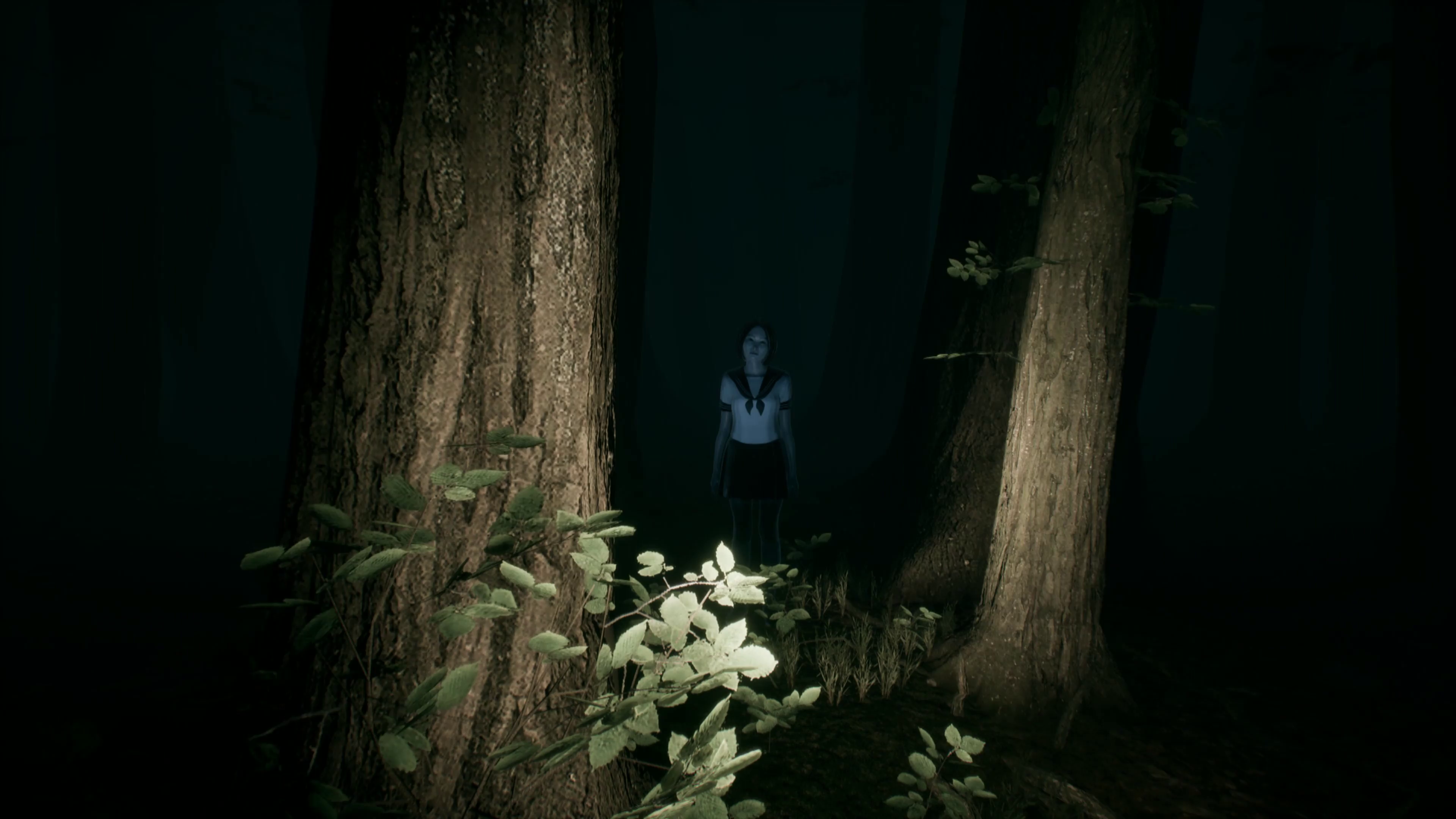 Taxista de noche por un bosque embrujado en Japón: Seguro que todo va a salir bien en Silent Road