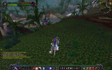 Related Image