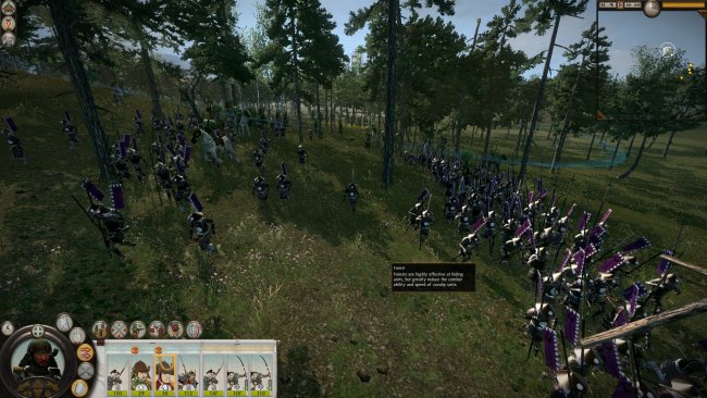 Total War: Shogun 2