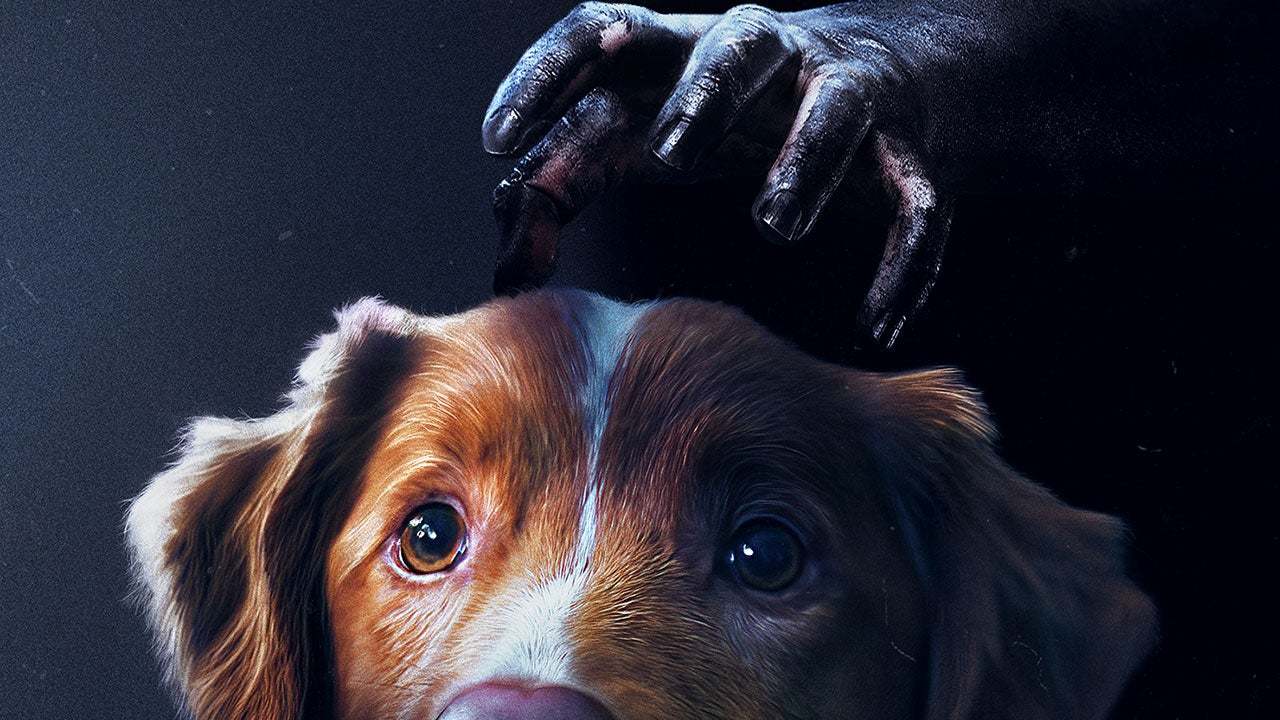 La película de terror del perro Indy, Good Boy, llega a Disney+ la semana que viene
