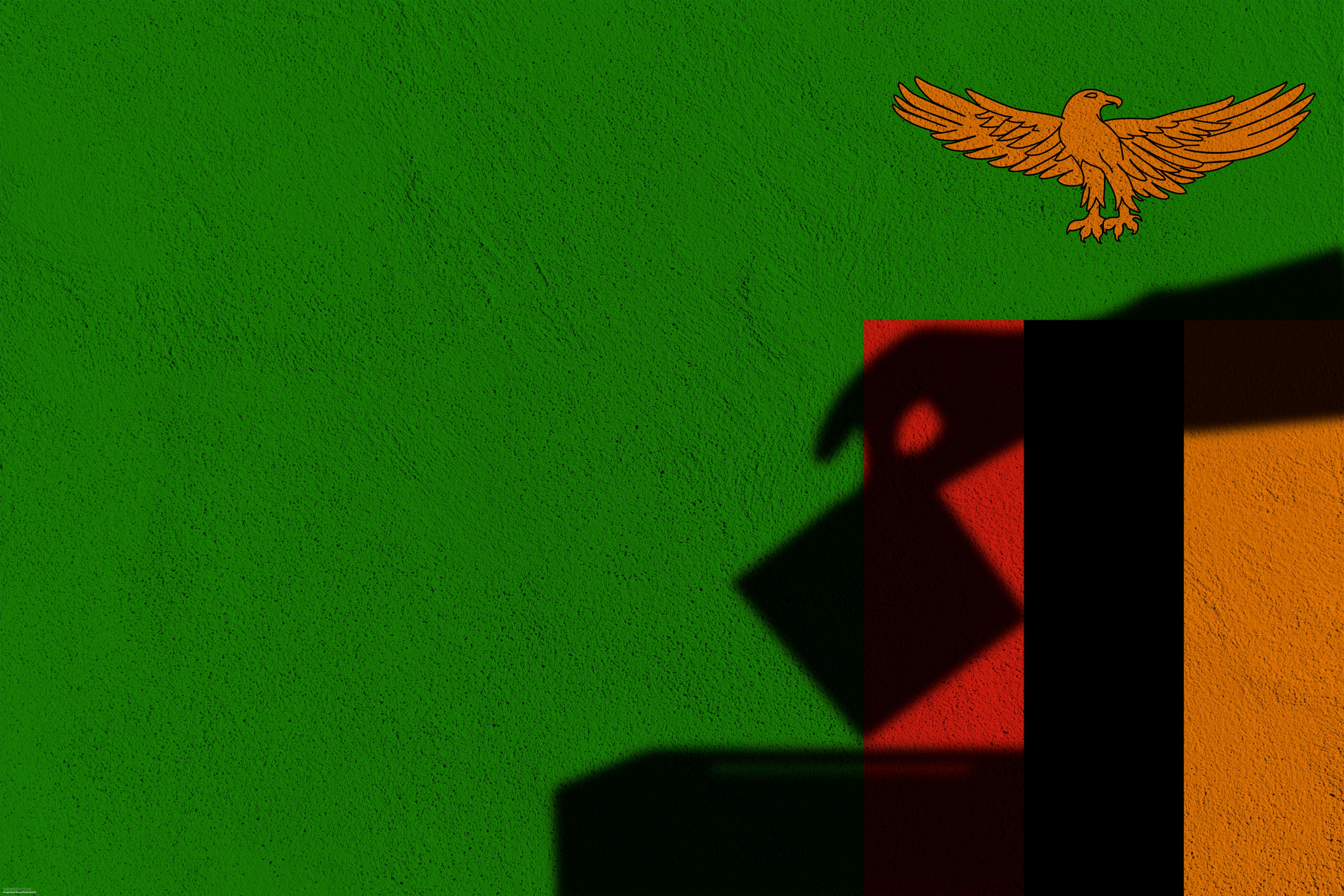 El gobierno de Zambia detiene a los principales líderes de la oposición en la misma noche de las elecciones