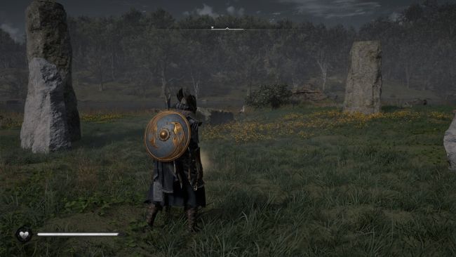 Assassin's Creed Valhalla
