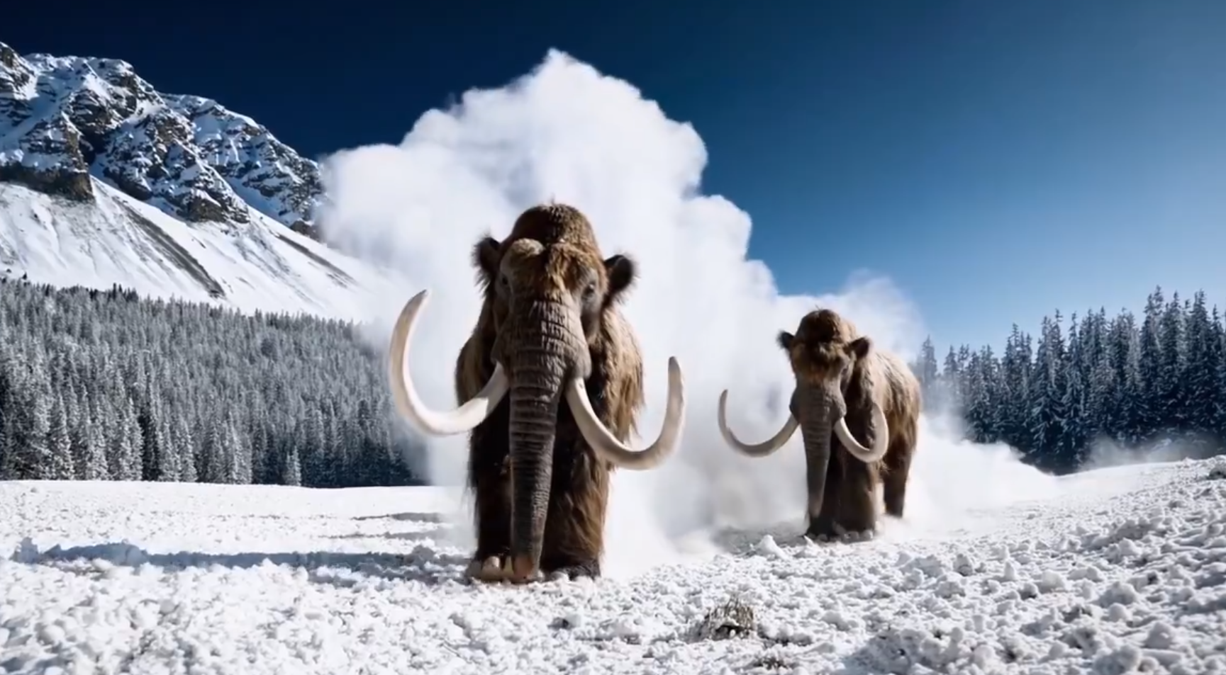 OpenAI echa el cierre a la herramienta de creación de vídeo Sora