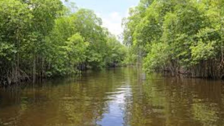 Detienen a un hombre tras pasar 8 años viviendo en un bosque estatal