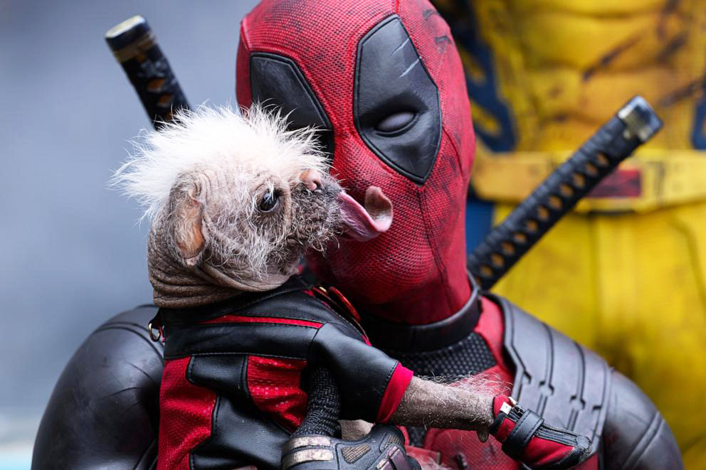 "Deadpool volverá", promete Ryan Reynolds, que avanza que "hay cosas en camino"