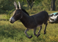 Ha fallecido el burro que hizo de modelo para Donkey en Shrek 