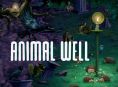 Nos vamos de viaje a Animal Well en el GR Live de hoy