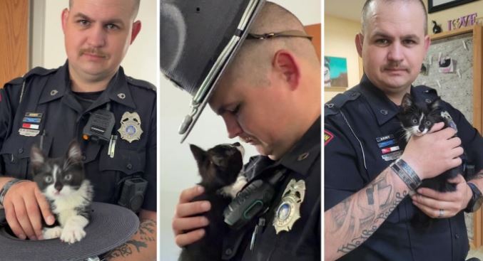 Un rescate en carretera da lugar a una improbable amistad entre un policía y un gatito