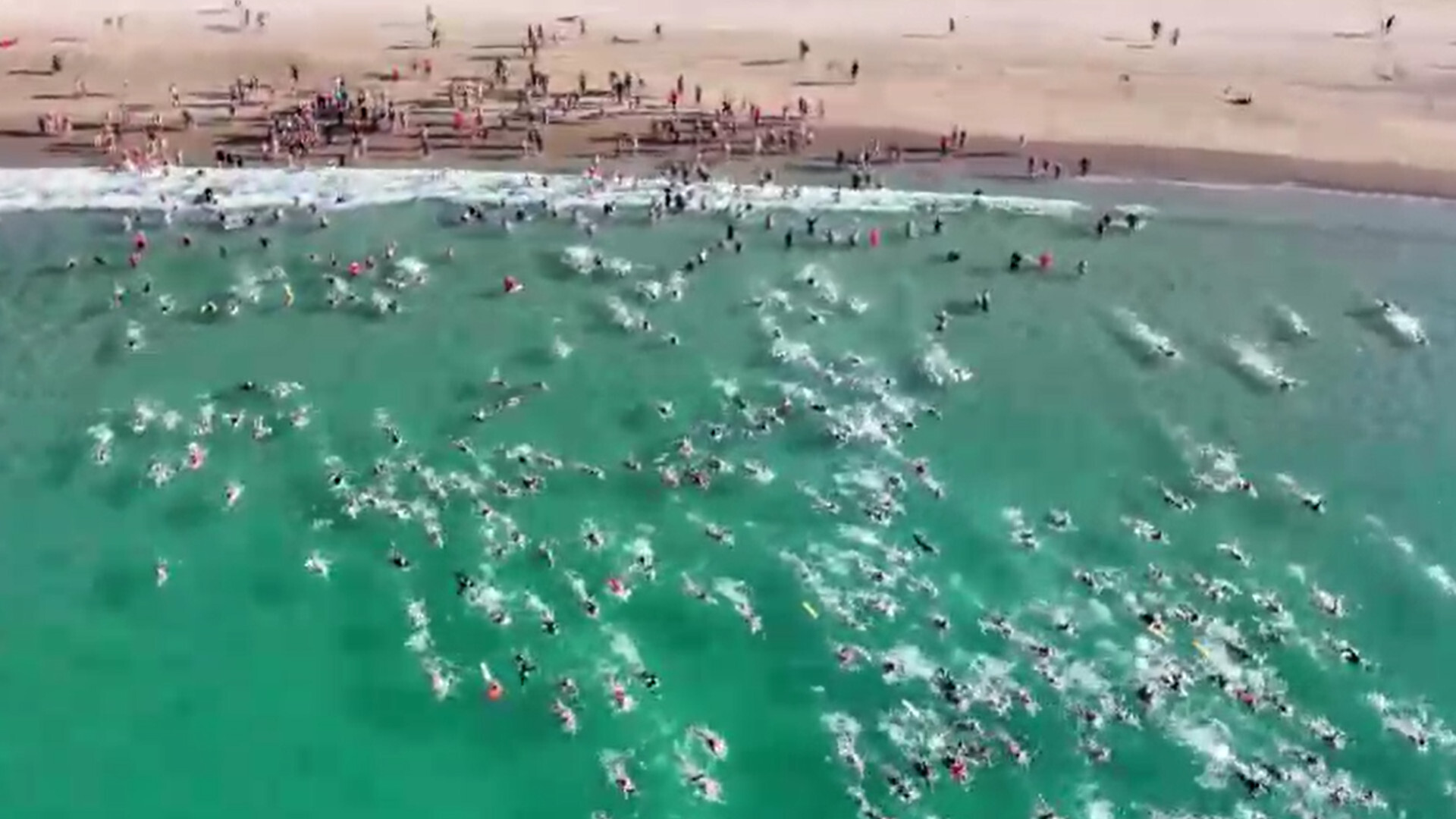 Miles nadan en homenaje a una mujer atacada por un tiburón en la misma playa