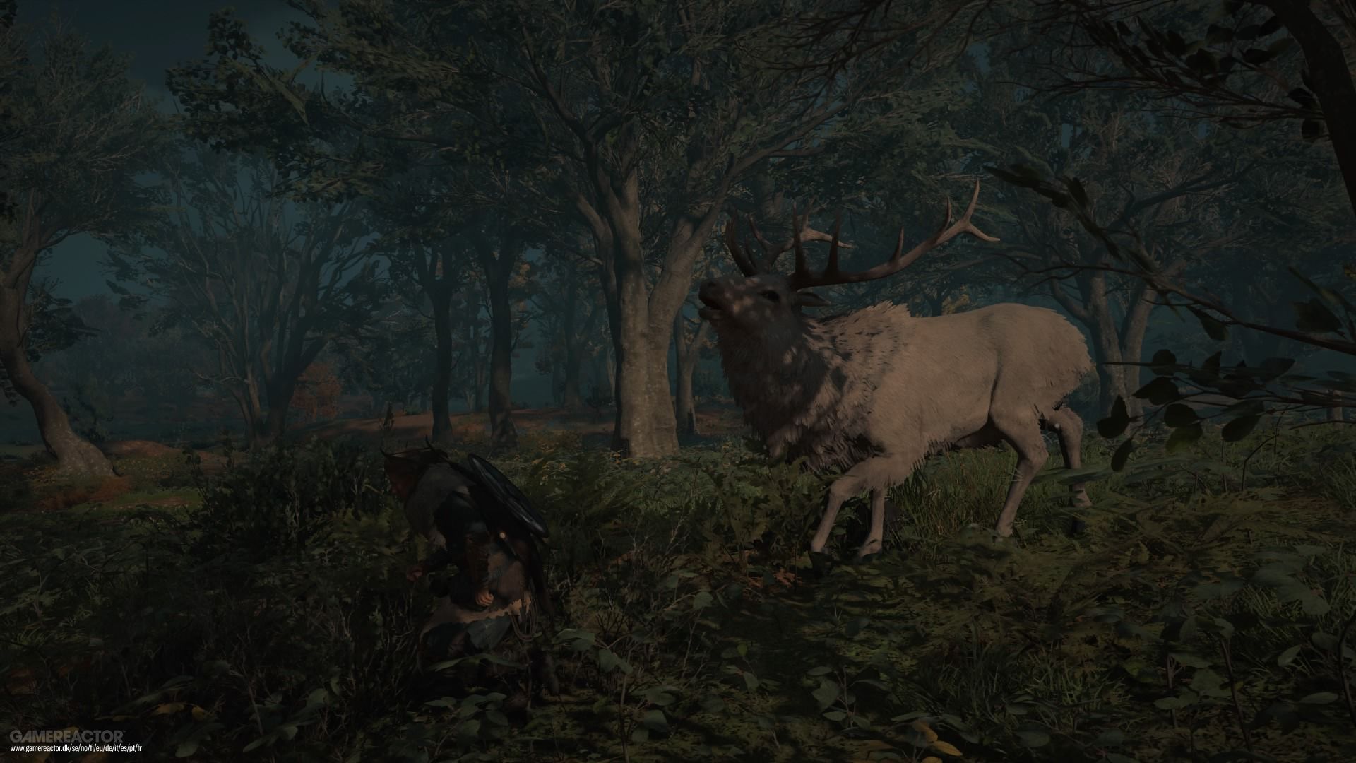 Assassin's Creed Valhalla