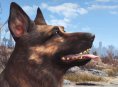 Rumor: Pronto podr&aacute;s tener mascotas en Fallout 76