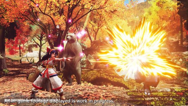 Samurai Shodown