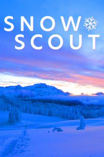 Snow Scout
