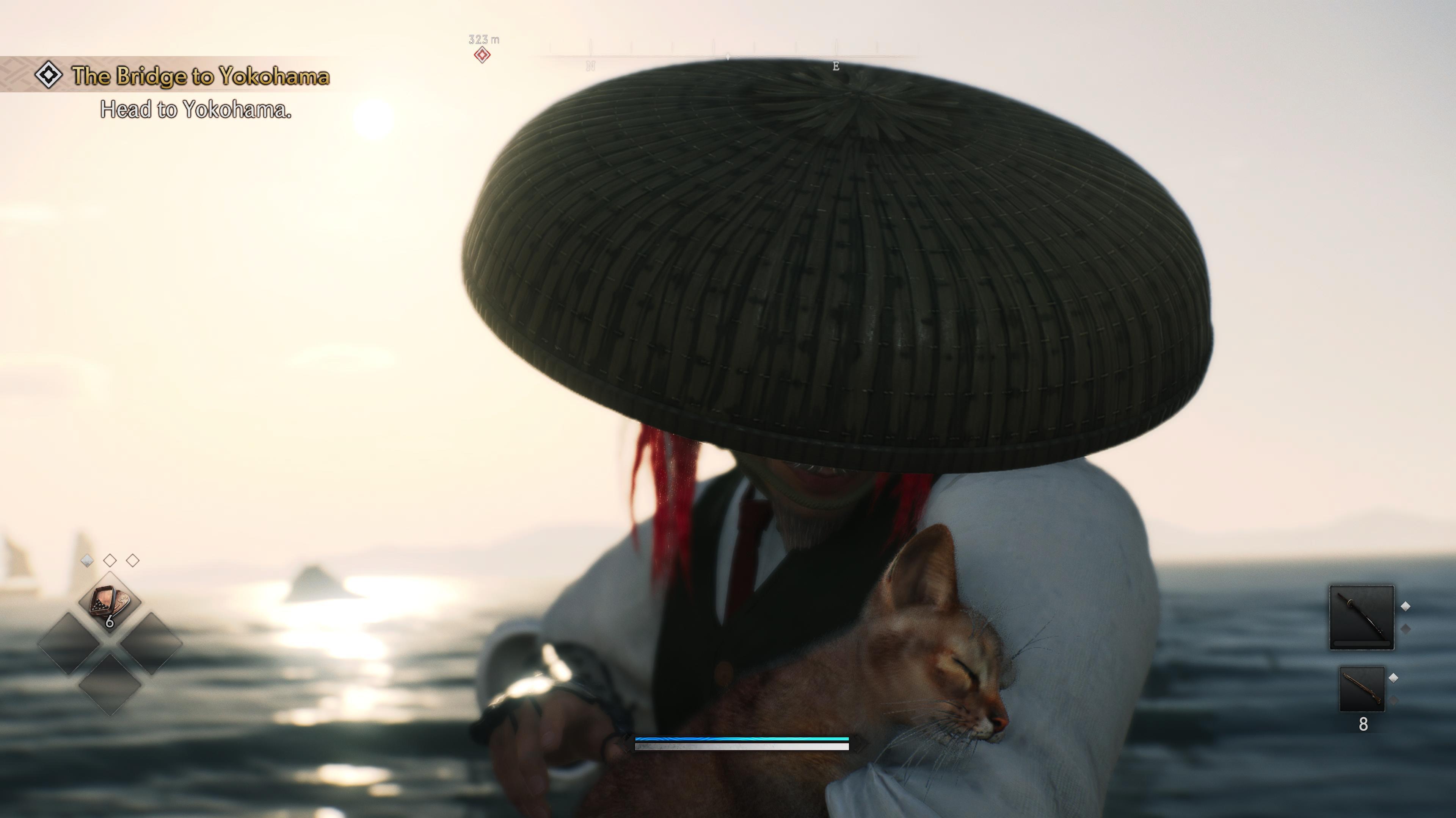Rise of the Ronin