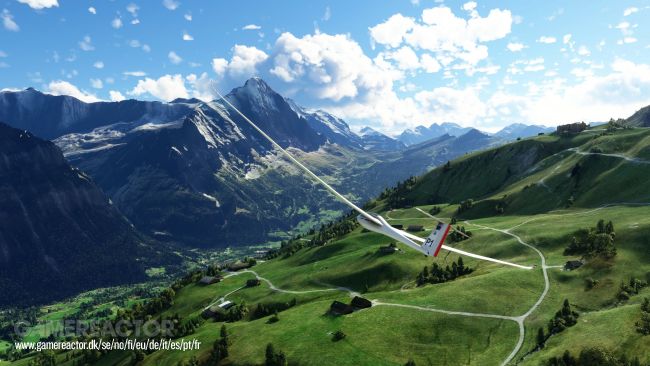 Microsoft Flight Simulator
