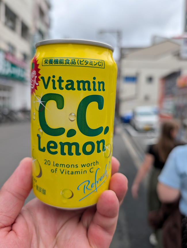 Lo mejor y lo más curioso de Japón: un resumen personal