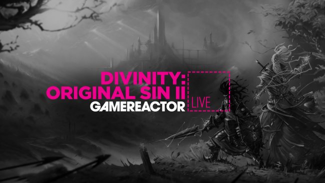 Divinity: Original Sin II
