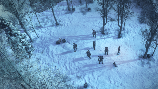 Wasteland 3
