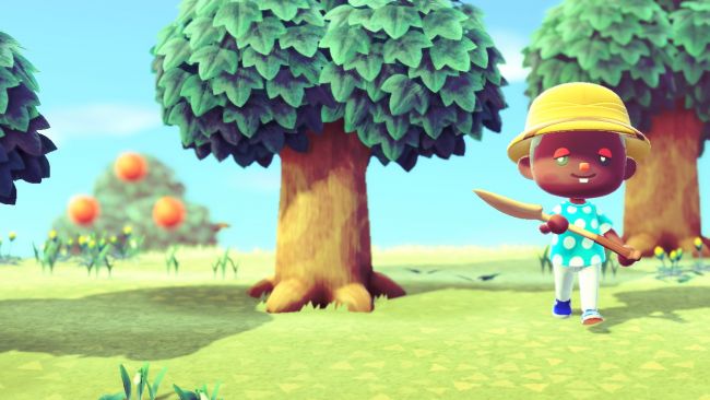 Animal Crossing: New Horizons