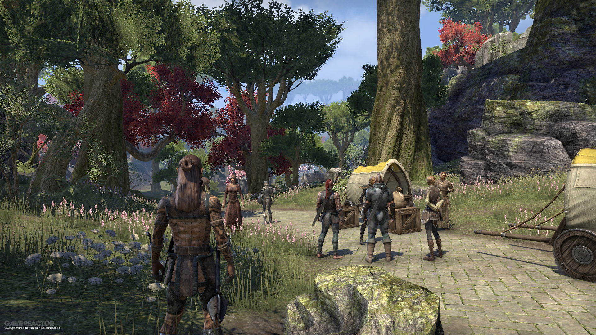 The Elder Scrolls Online, el multijugador online más en forma de