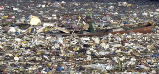 El Gran Parche de Basura del Pacífico se ha convertido en un ecosistema flotante
