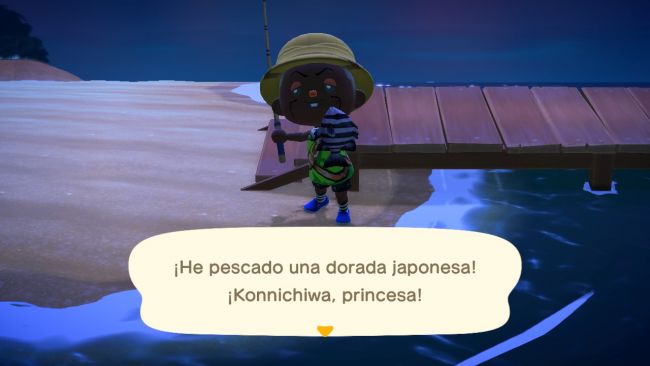 Animal Crossing: New Horizons