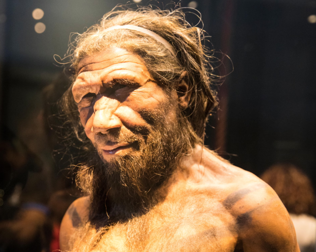 Un estudio sugiere que los neandertales machos se apareaban más a menudo con hembras humanas