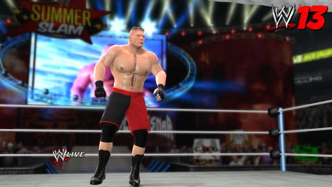 WWE 13
