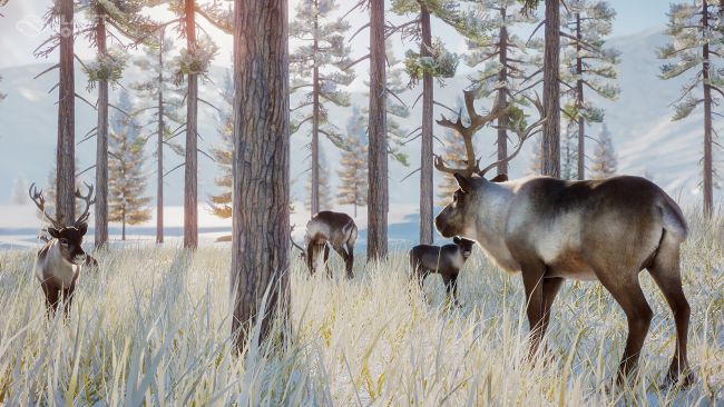 Planet Zoo