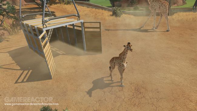 Zoo Tycoon
